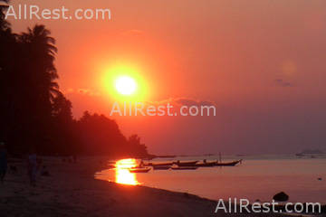 Coconut Sands 47